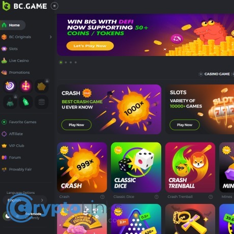 Understanding BC Game Deposit Methods