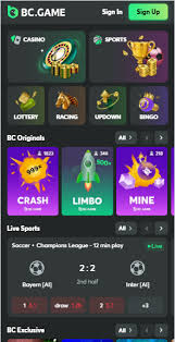 Understanding BC Game Payment Options A Comprehensive Guide
