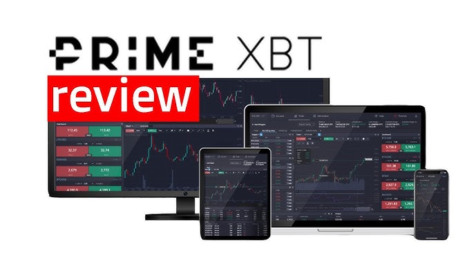 Everything You Need to Know About PrimeXBT Users
