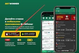Experience the Thrill of Betting with Betwinner 1