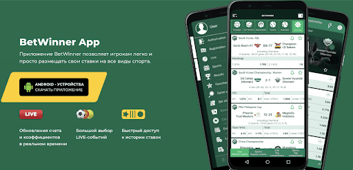 Explore the Exciting World of BetWinner Casino 1